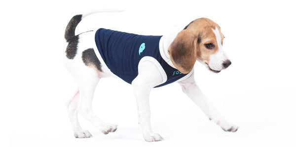 Pet Clothes Dog Vest Two-Legged Clothes
