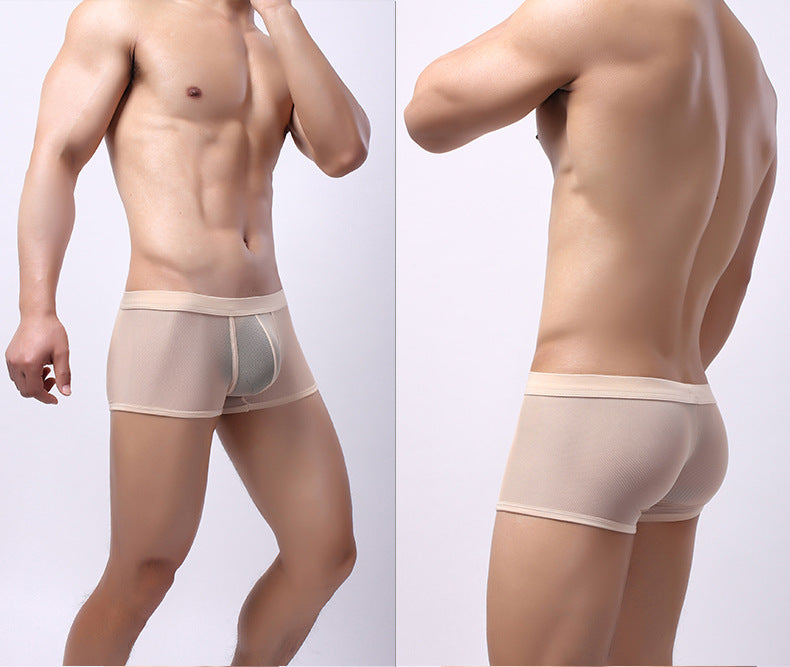 Men's Underwear Mesh Breathable Boxers Low Waist Transparent Boxers Youth Cool Shorts