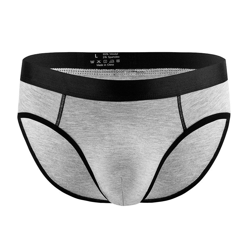 Men's Panties Low Waist Briefs