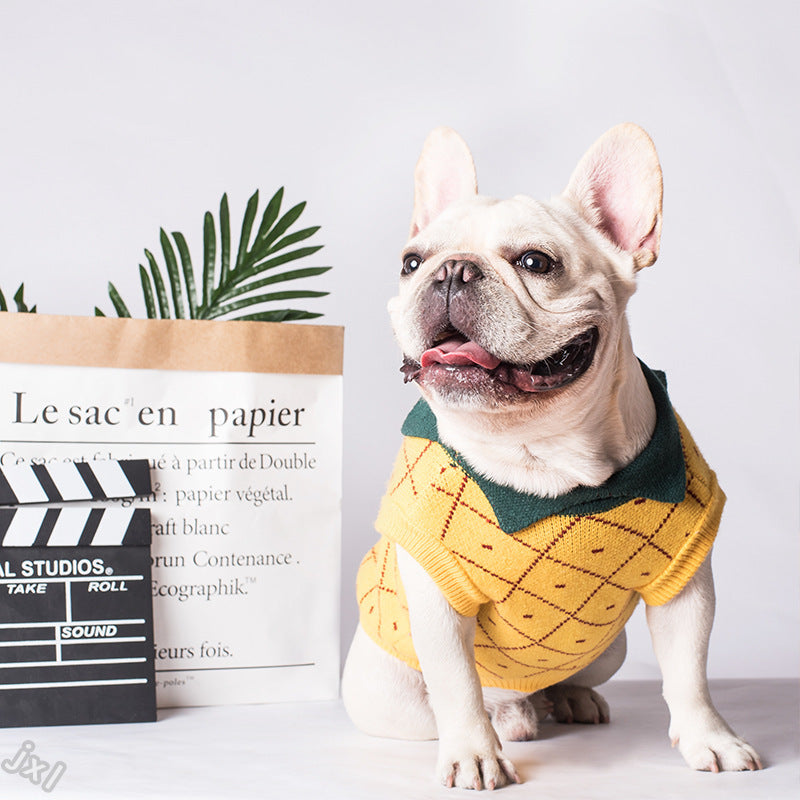 Chien de bouledogue