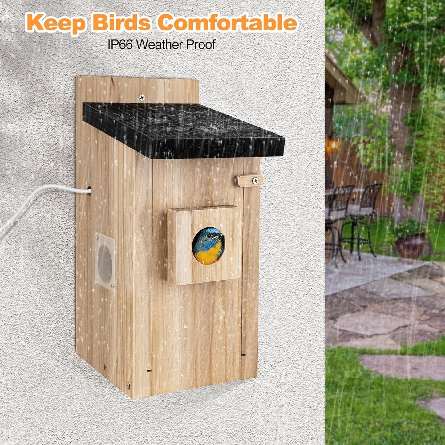 Smart Bird House With Camera, 3MP Night Vision, Auto Capture, Motion Detection, DIY Gift 🐦📸