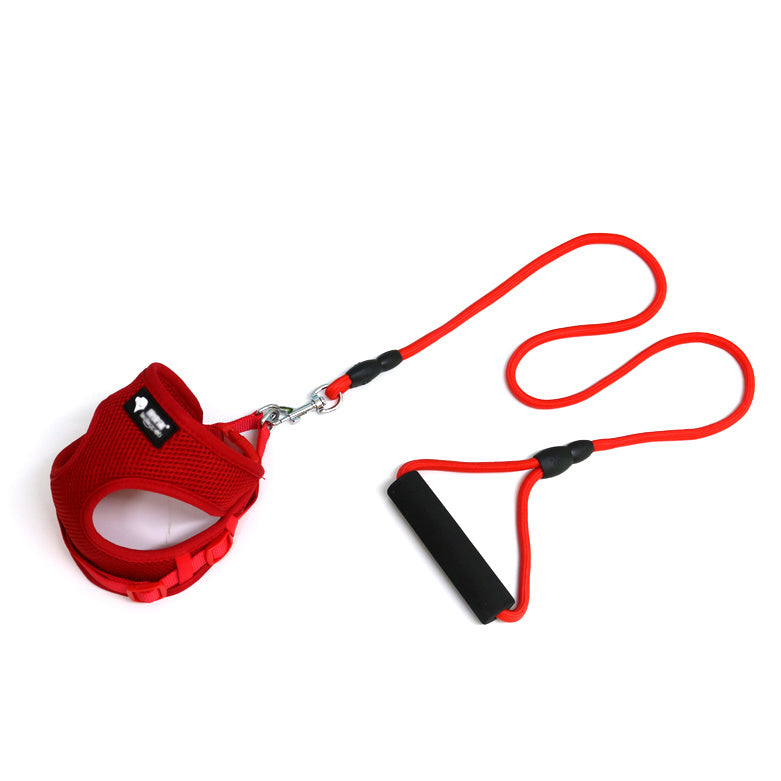 Hundkoppel hundkoppel hundhalsband