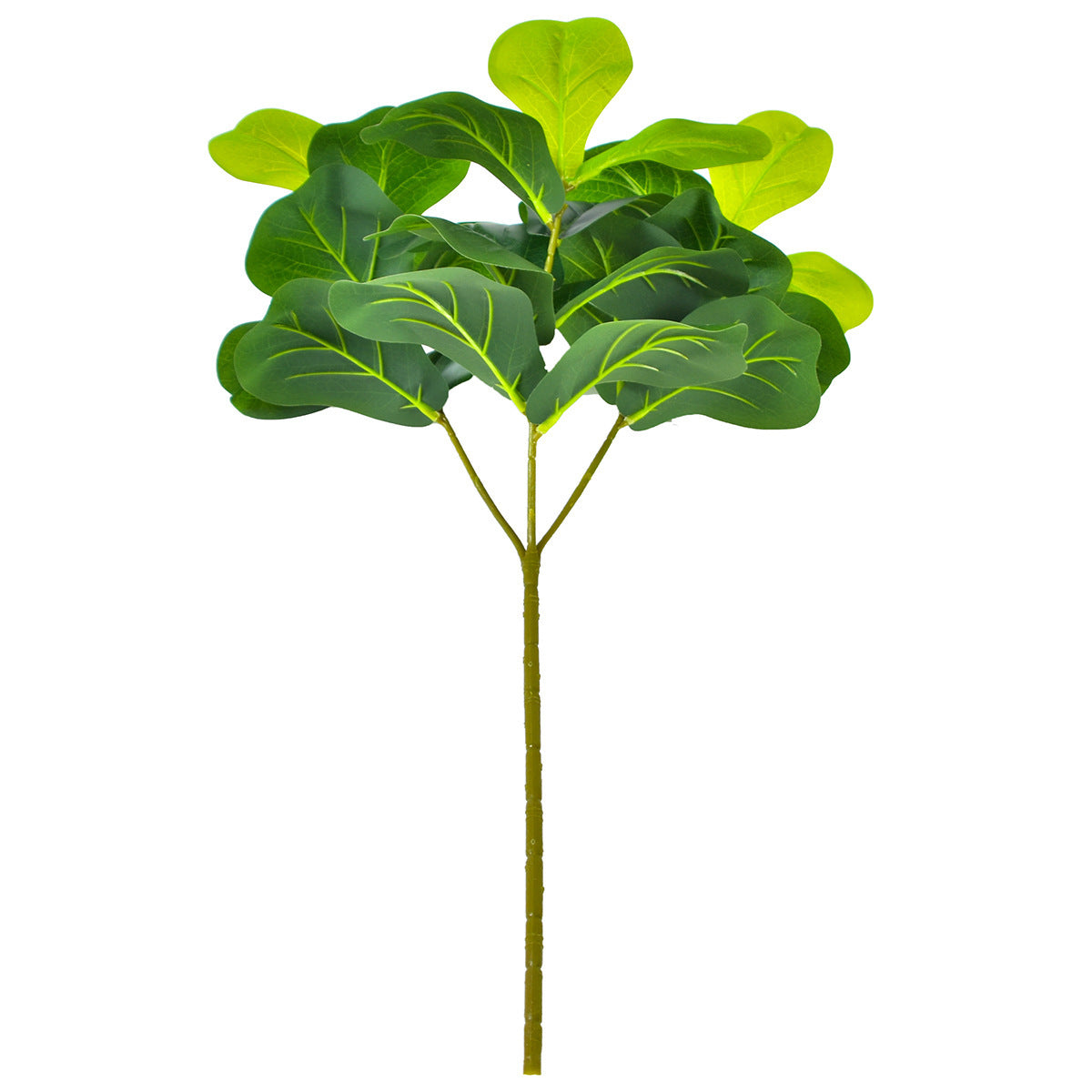 Nordic Style Potted Plants And Green Plants For Home Decoration