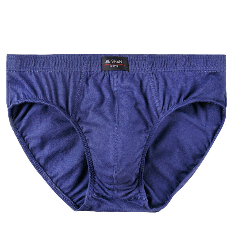 Men's Briefs Cotton Underwear