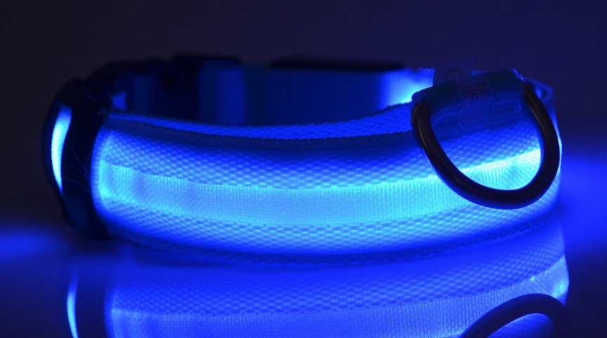 Nylon LED Hund Ljushalsband Nattsäkerhet Blinkande Glöd i mörkt Hund Kattkoppel Justerbara husdjurstillbehör