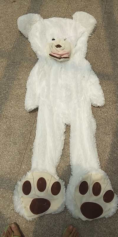 Processing export plush toy bear Teddy bear American big bear leather shell factory direct one generation