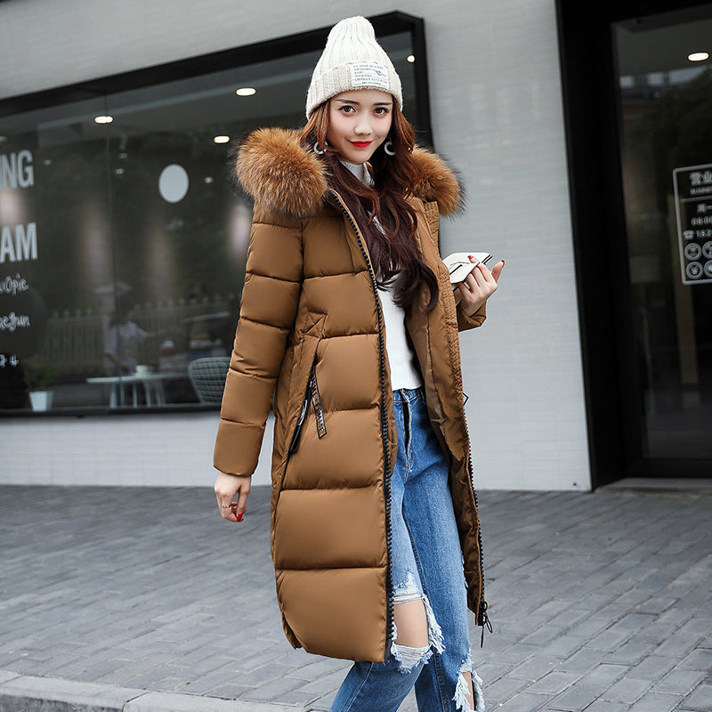 Long Cotton Jacket Hooded Big Fur Collar Down Jacket - Medium Length Casual Slim Fit Fox Hair