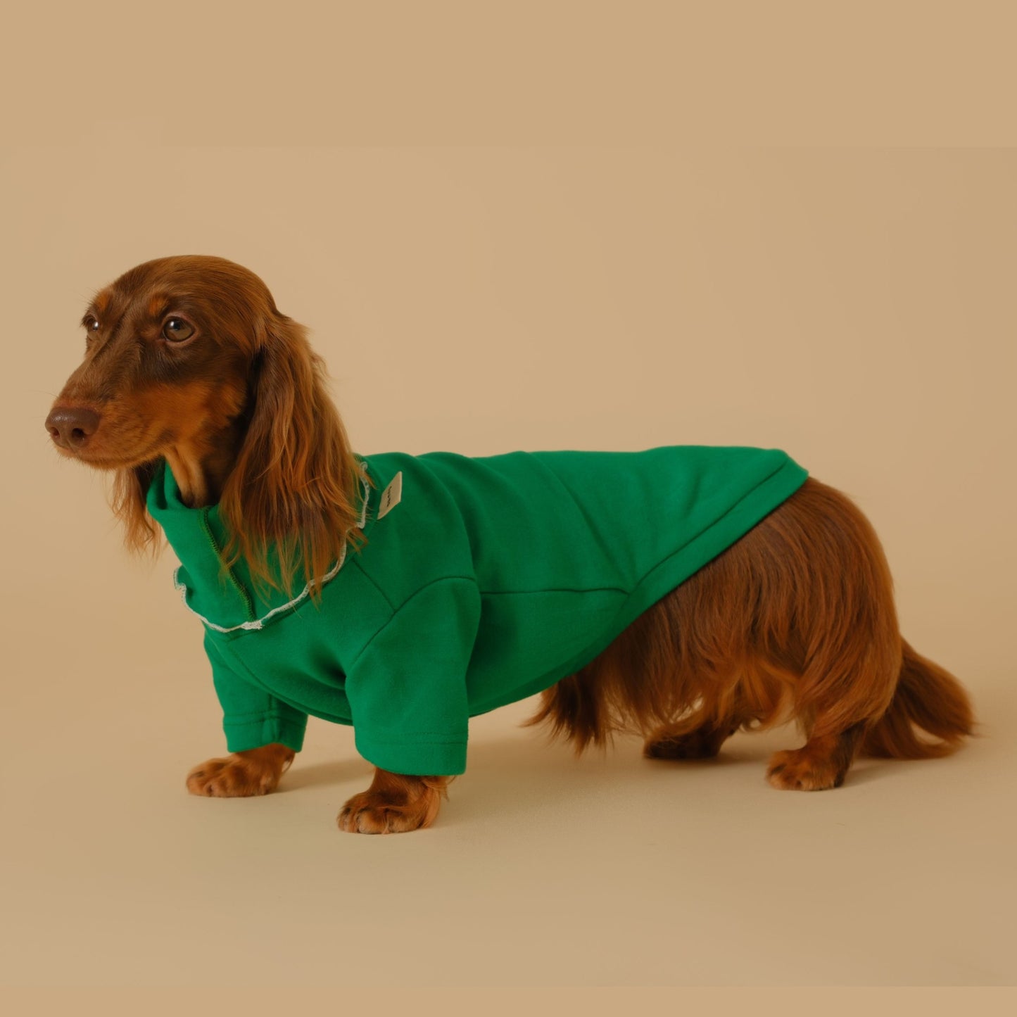 Manteau de base pour animaux de compagnie, vêtements pour chiens teckel