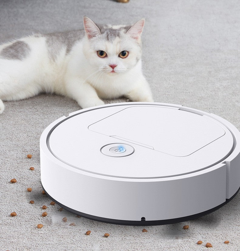 Intelligent sop- och moppningsrobot