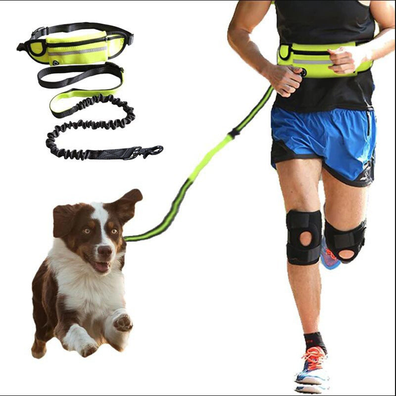 Sport Traction Rope - High Elasticity Anti-Collision Outdoor Running Waist Dog Leash