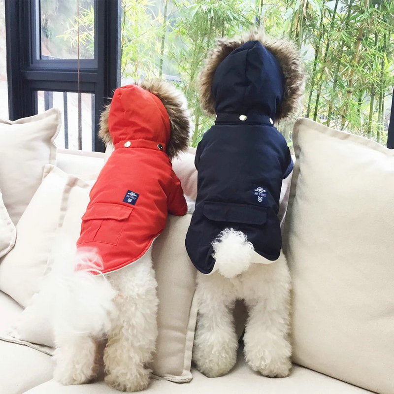 Vêtements pour chiens à capuche en coton
