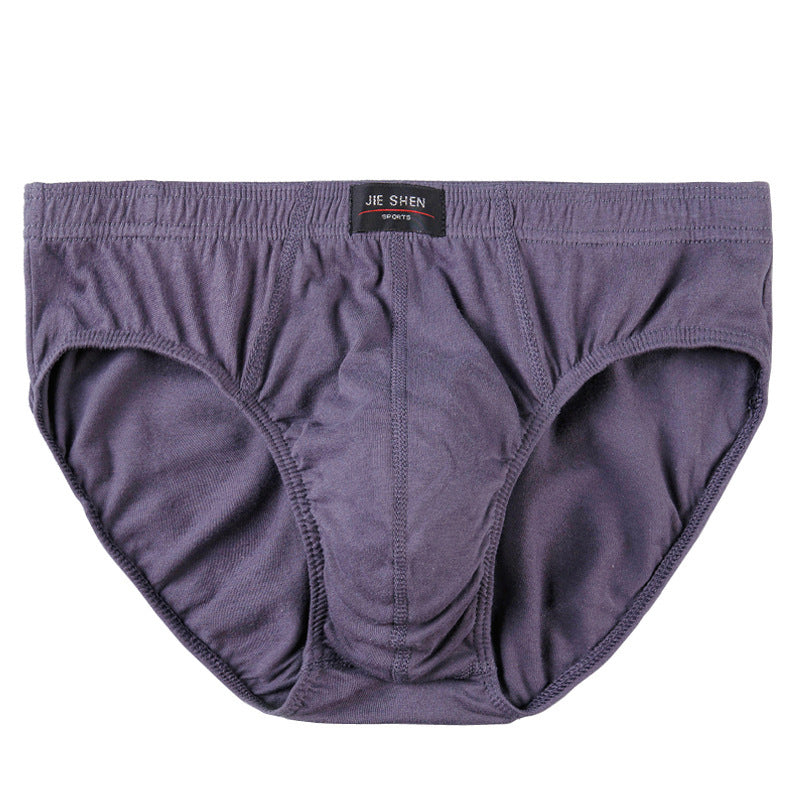 Men's Briefs Cotton Underwear