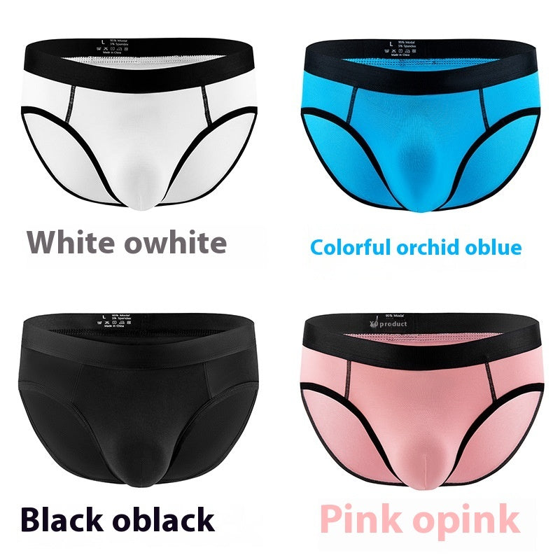 Men's Panties Low Waist Briefs
