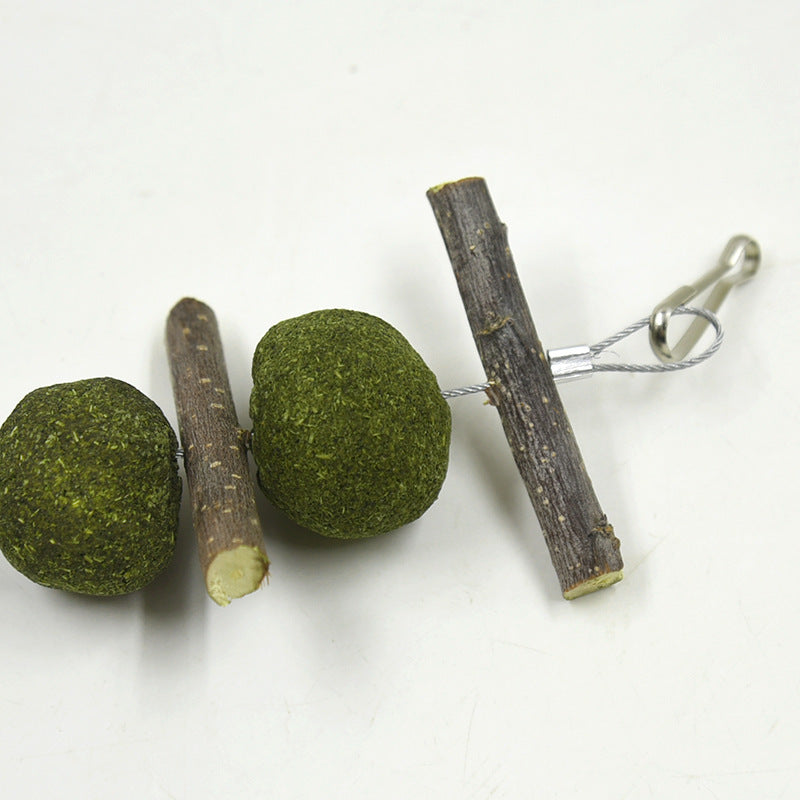 Pet Molar Supplies - Natural Dental Care for Pets