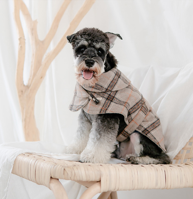 Manteau coupe-vent pour petit chien, vêtements pour animaux de compagnie