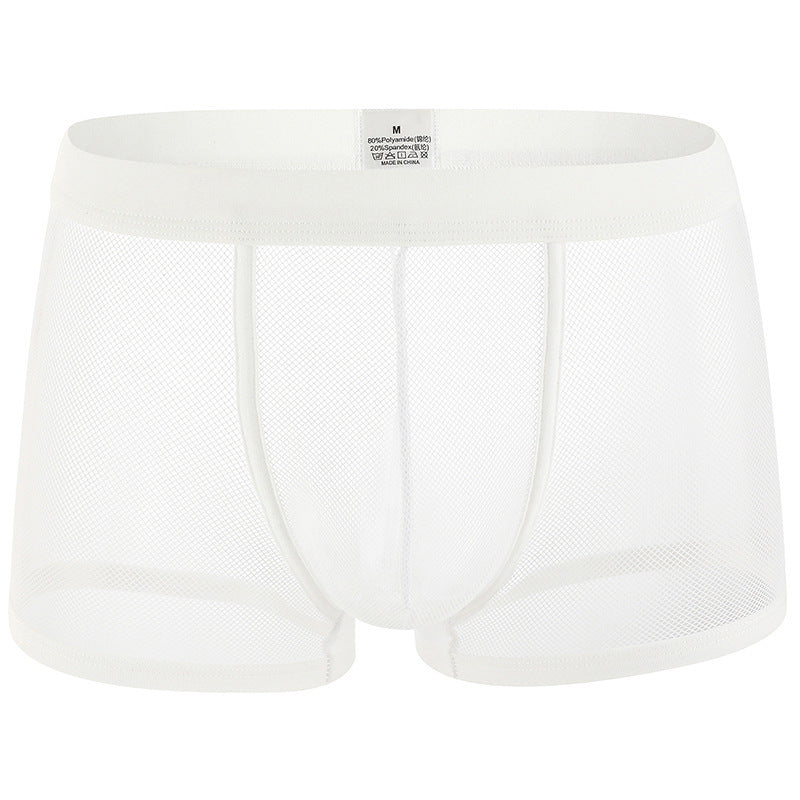 Men's Underwear Mesh Breathable Boxers Low Waist Transparent Boxers Youth Cool Shorts