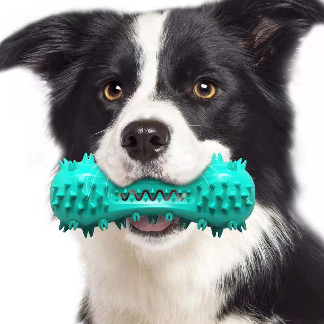 Husdjurshund Rengöring Tuggleksaker för aggressiva hundar Gummi Molar Stick Hund orala tänder