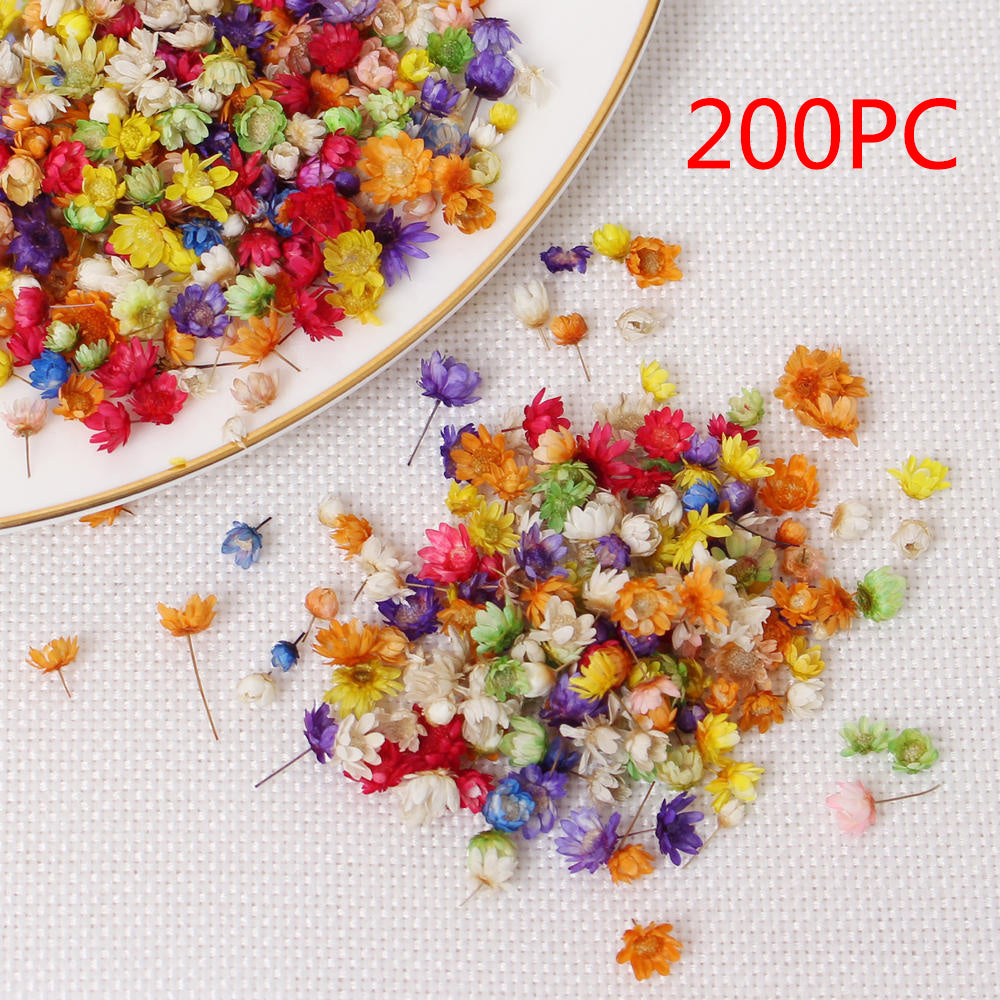200pc Real Dried Flowers For DIY Art Craft Epoxy Resin Candl