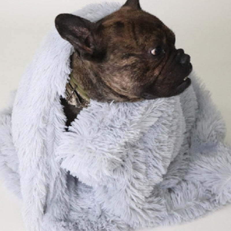 Pet Dog Cat Filtar