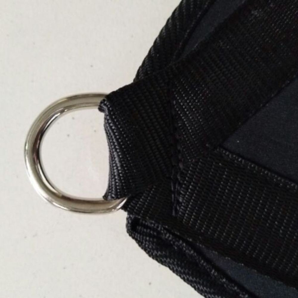 Professional Gym Abdominal Strap - Nylon Webbing PVC Handle (42cm, D-Ring Design)