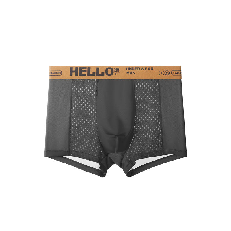 Summer Men's Ice Silk Mesh Antibacterial Breathable Underwear