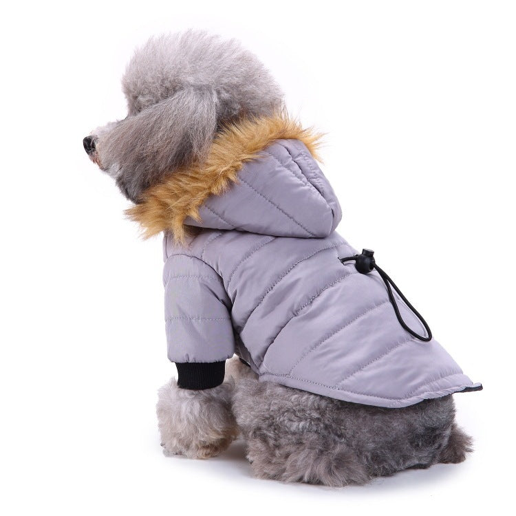 Vêtements d'hiver pour animaux de compagnie