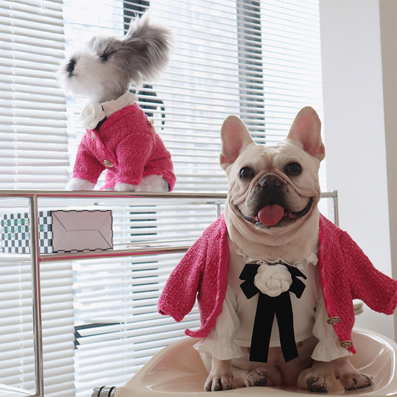 Nouveau Vêtements chauds pour animaux de compagnie camélia