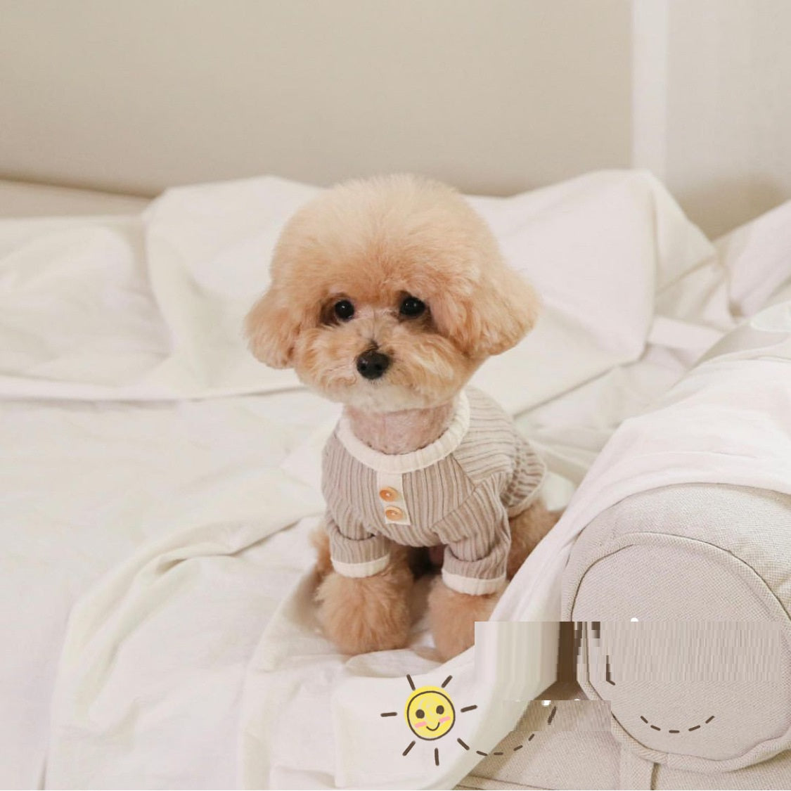 Vêtements décontractés pour animaux de compagnie, couleur contrastée, chat, chien