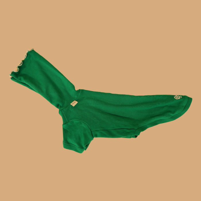 Manteau de base pour animaux de compagnie, vêtements pour chiens teckel