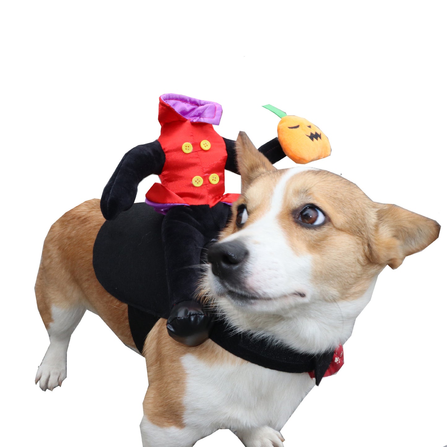 Vêtements pour chiens d'Halloween, Costume pour animaux de compagnie drôle