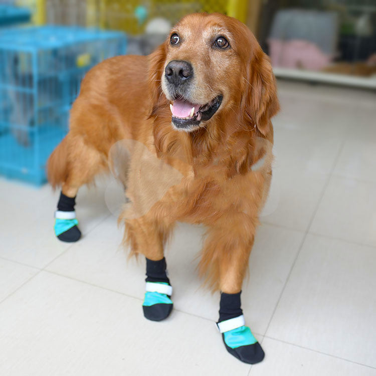 Super Tear-Resistant Oxford Pet Shoes