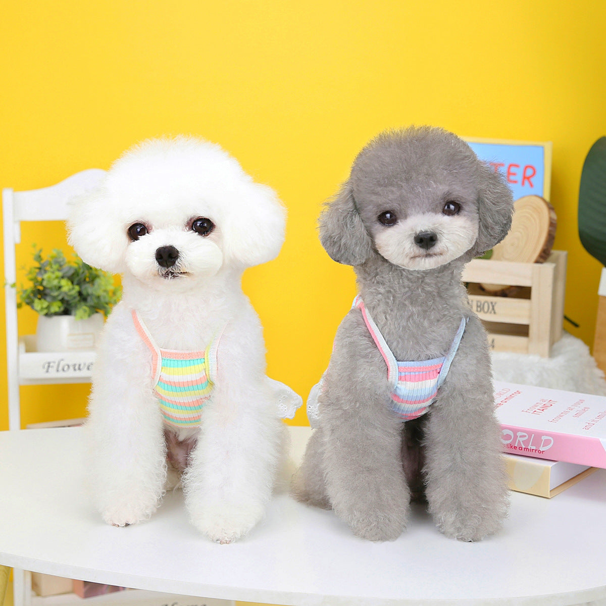 Vêtements pour animaux de compagnie, jupe à ailes à rayures colorées pour chien