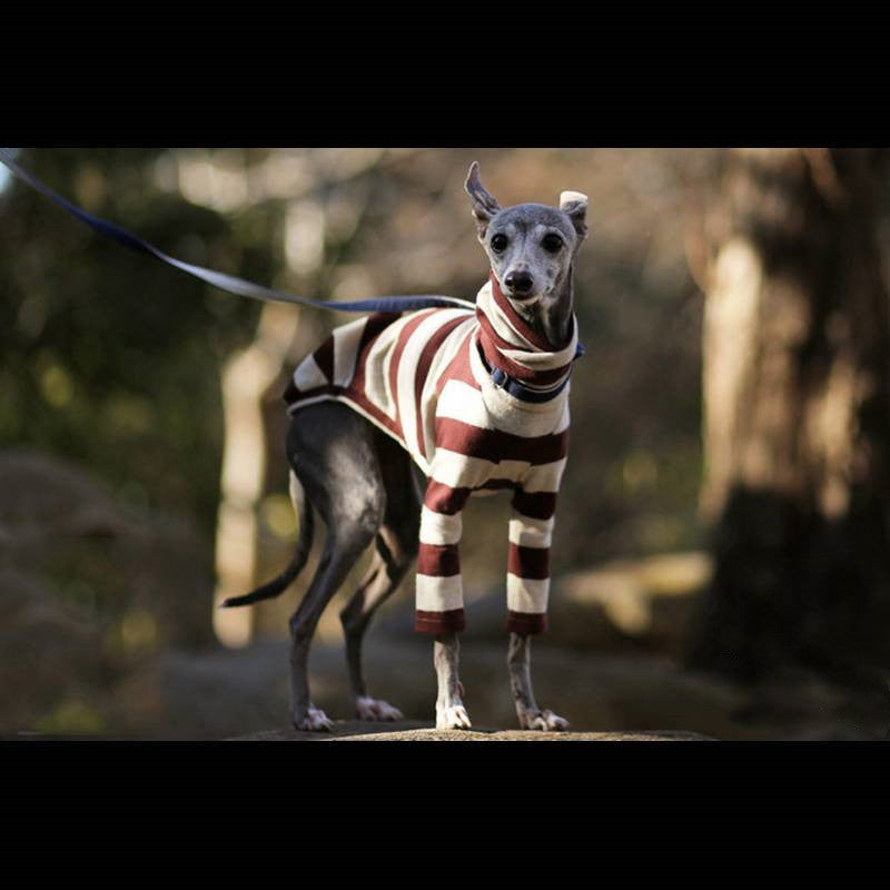 Vêtements pour animaux de compagnie rayés, confortables, à deux pattes, col haut, vêtements mignons pour chiens
