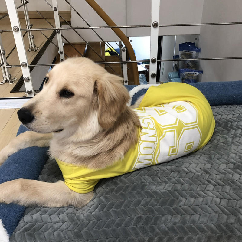 Gilet d'été fin pour chien, vêtements pour animaux de compagnie