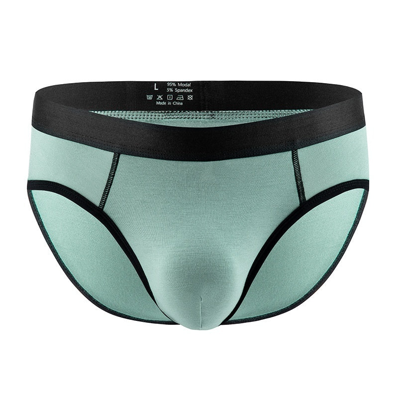 Men's Panties Low Waist Briefs
