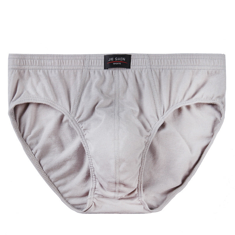 Men's Briefs Cotton Underwear