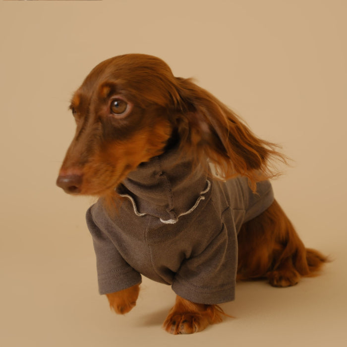 Manteau de base pour animaux de compagnie, vêtements pour chiens teckel