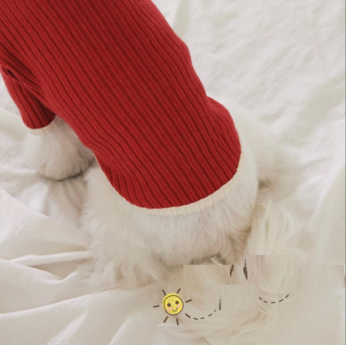 Vêtements décontractés pour animaux de compagnie, couleur contrastée, chat, chien