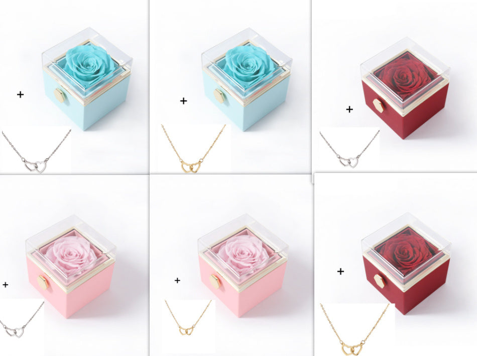 Rostfritt stål dubbel kärlek halsband Box Set