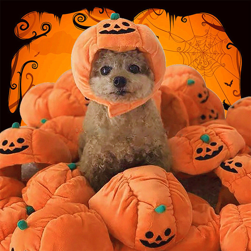 Chapeau pour animaux de compagnie Halloween chapeau de citrouille drôle Costume d'animal de compagnie mignon