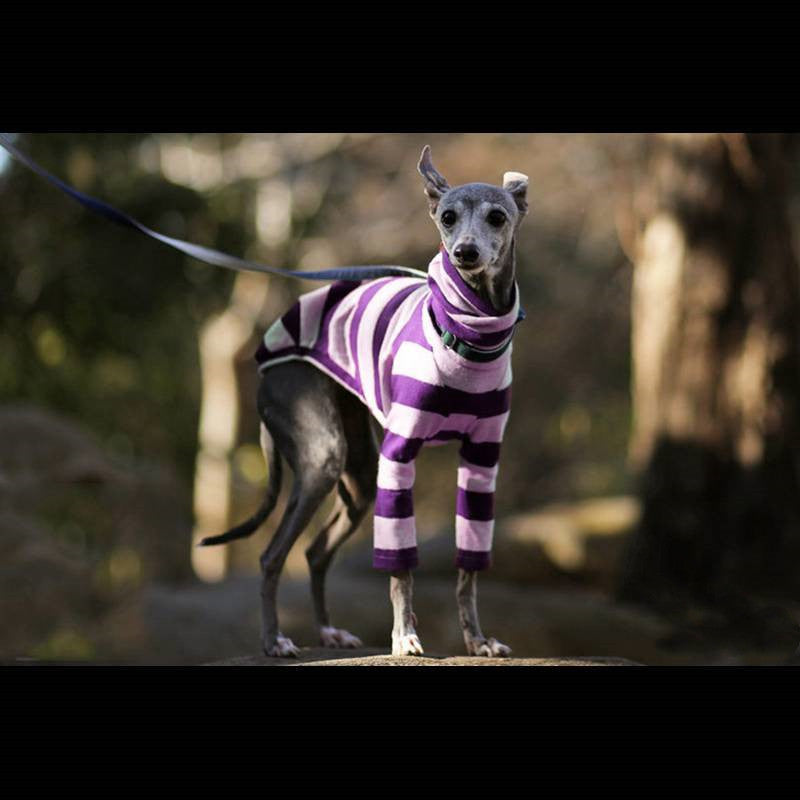 Vêtements pour animaux de compagnie rayés, confortables, à deux pattes, col haut, vêtements mignons pour chiens