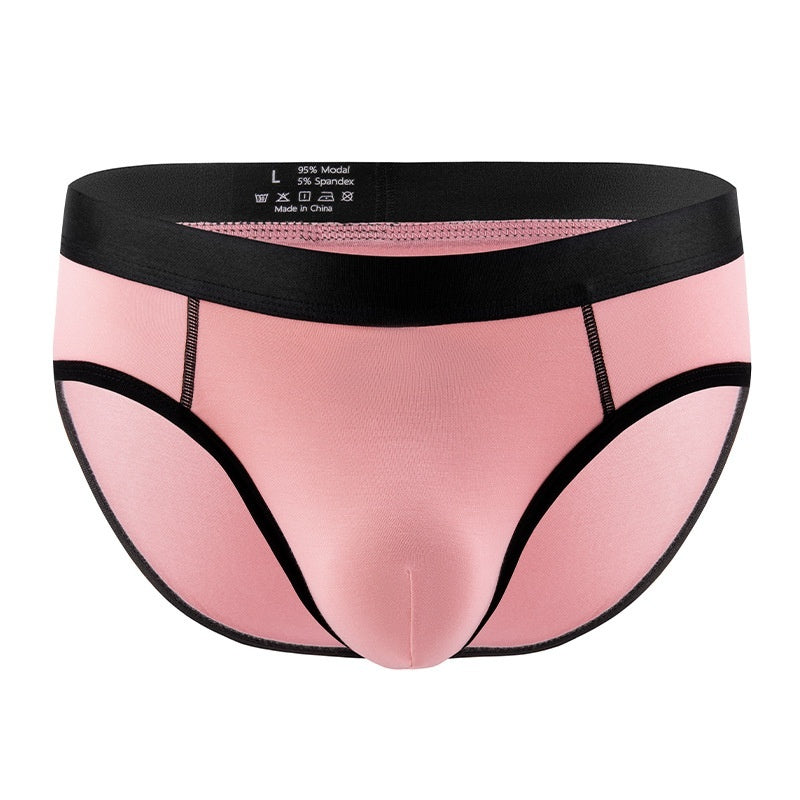 Men's Panties Low Waist Briefs