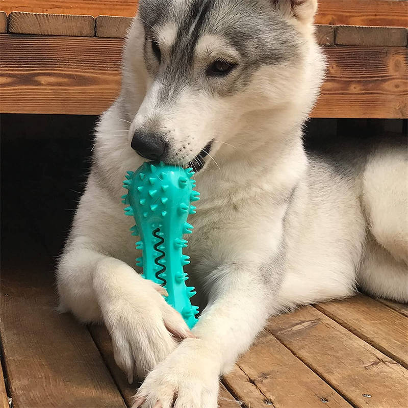 Husdjurshund Rengöring Tuggleksaker för aggressiva hundar Gummi Molar Stick Hund orala tänder