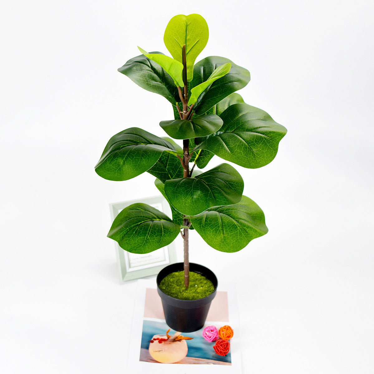 Nordic Style Potted Plants And Green Plants For Home Decoration