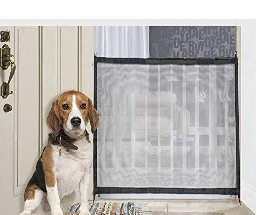 Hunden hindrar säkerhetsstängsel