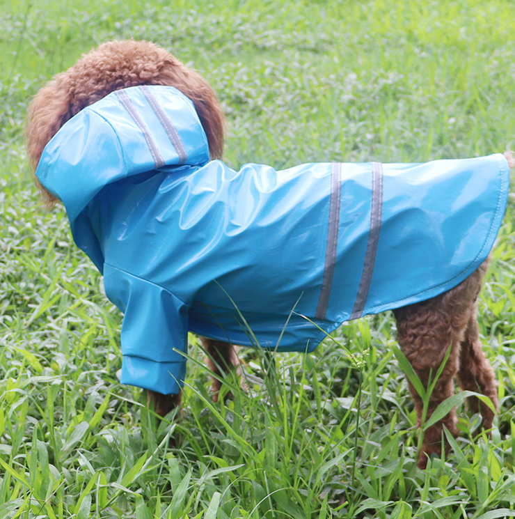 Vêtements de mode pour chiens de compagnie en saison des pluies