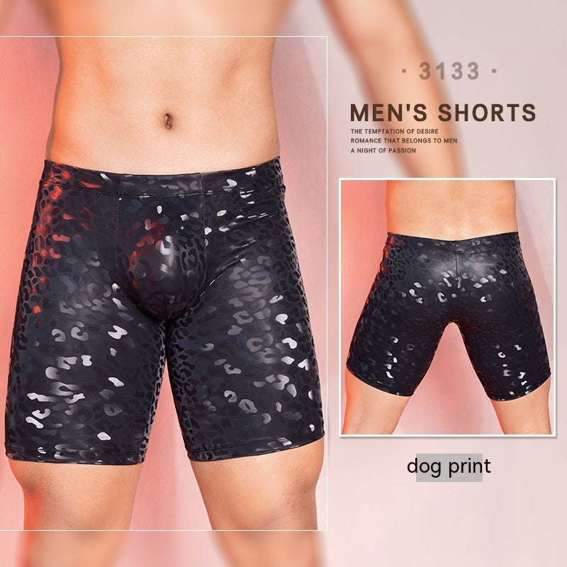 Men's Passion Sexy Underwear