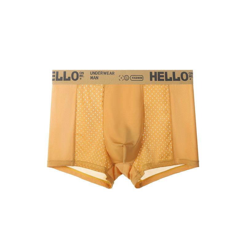 Summer Men's Ice Silk Mesh Antibacterial Breathable Underwear