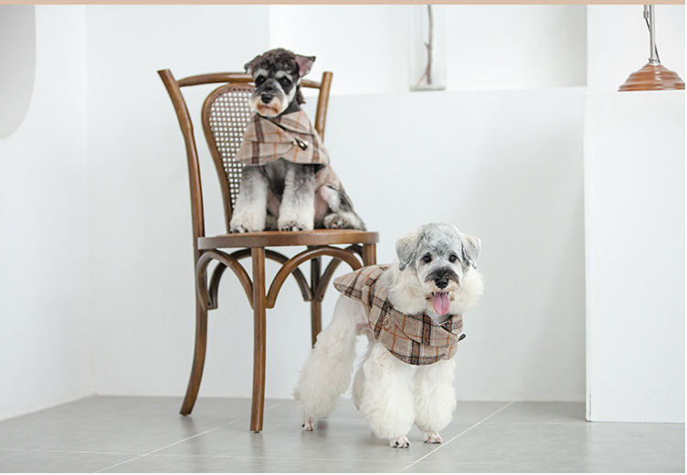 Manteau coupe-vent pour petit chien, vêtements pour animaux de compagnie