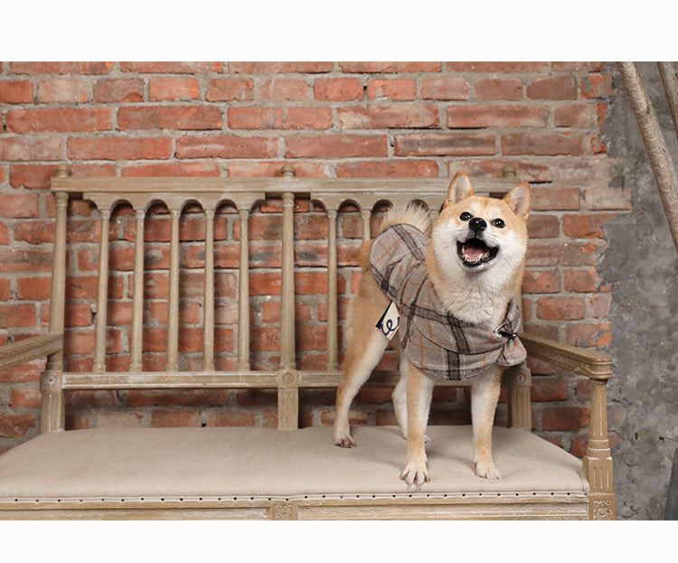 Manteau coupe-vent pour petit chien, vêtements pour animaux de compagnie